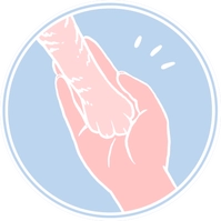 LISA - FEELS - Interprète animalier