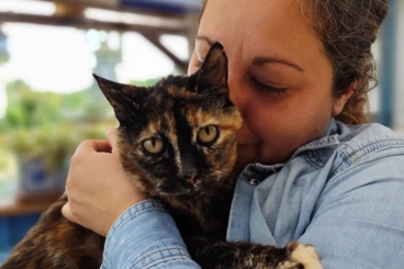 Image d'illustration Image d'illustration