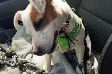 Image d'illustration