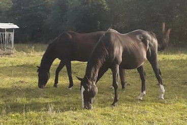 Image d'illustration