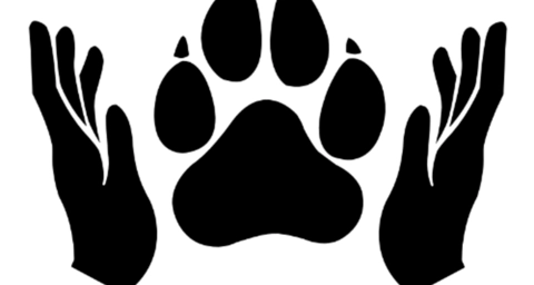 JEAN-PIERRE - HUNDANUDD - Masseur animalier